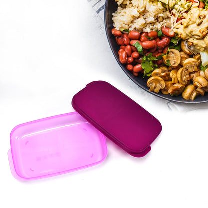 2453 Unbreakable Divine Leak Proof Plastic Lunch Box Food Grade Plastic BPA-Free 2 Containers with Spoon 