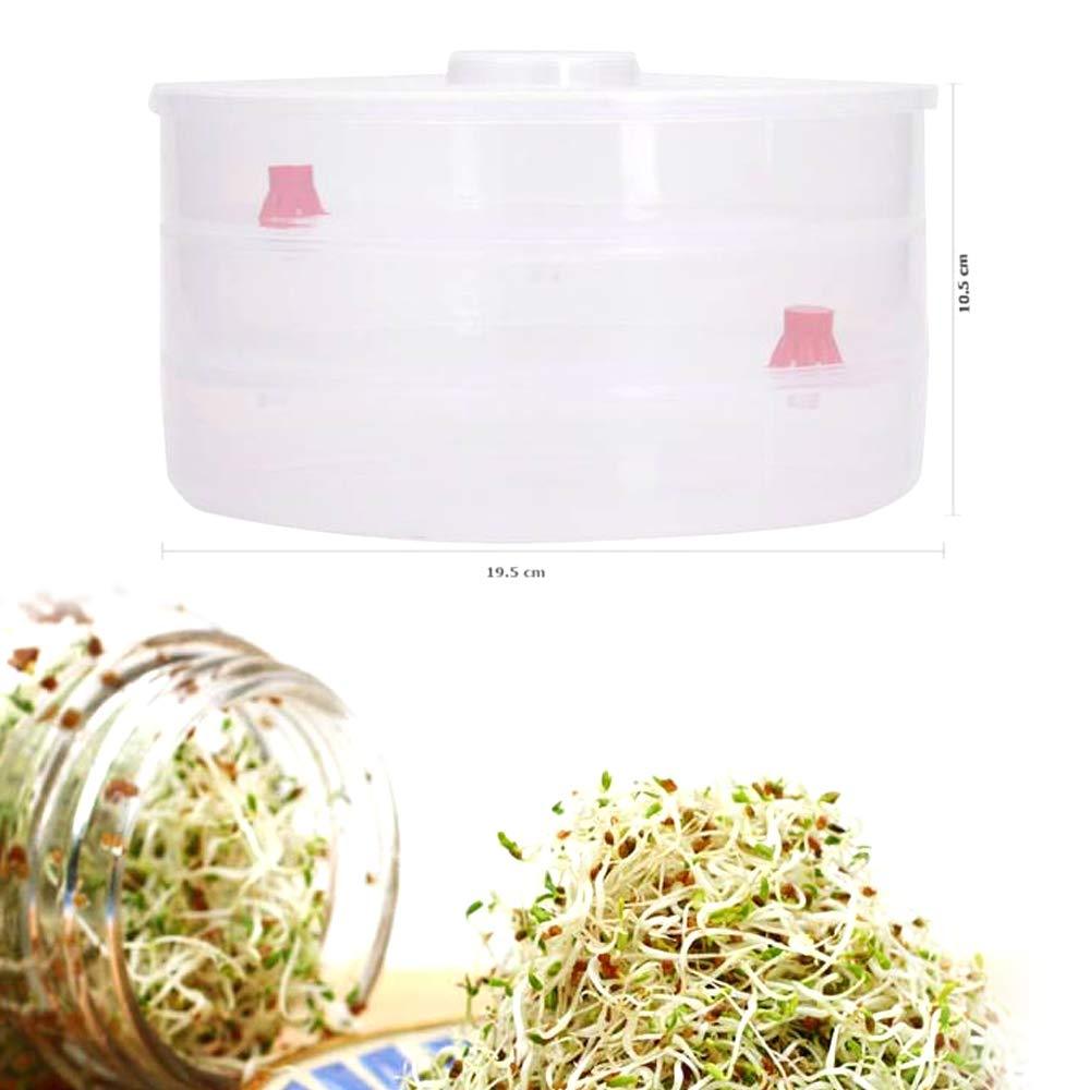 093 Plastic 3 Compartment Sprout Maker, White EasyGrabGet