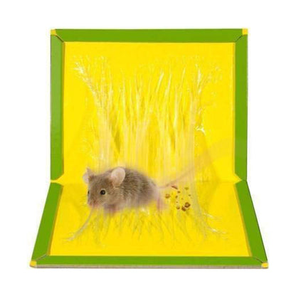 1203B Mice/Rat Glue Trap, Rat Glue Boards, Mouse Bond EasyGrabGet - Rat Terminator1203B Mice/Rat Glue Trap, Rat Glue Boards, Mouse Bond EasyGrabGet - Rat Terminator 