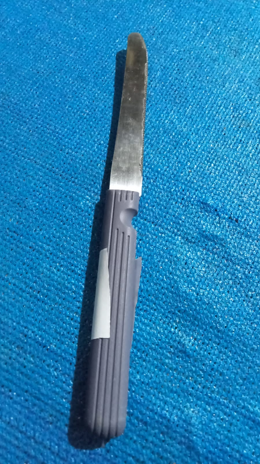 2109 Stainless Steel, Vegetable, Pizza and Bread Knife, Serrated Edge. 