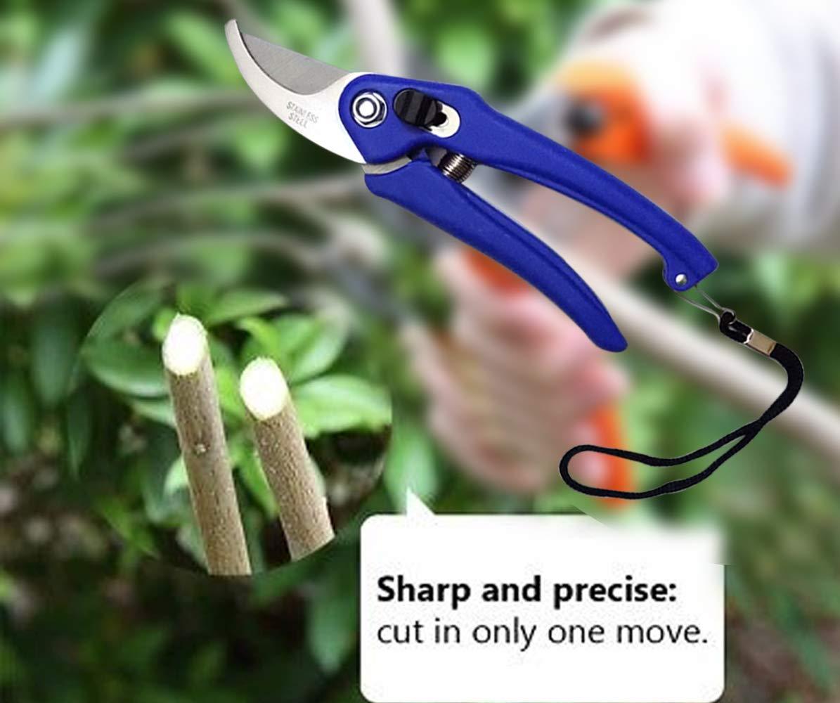 0465 Stainless Steel Garden Scissors 