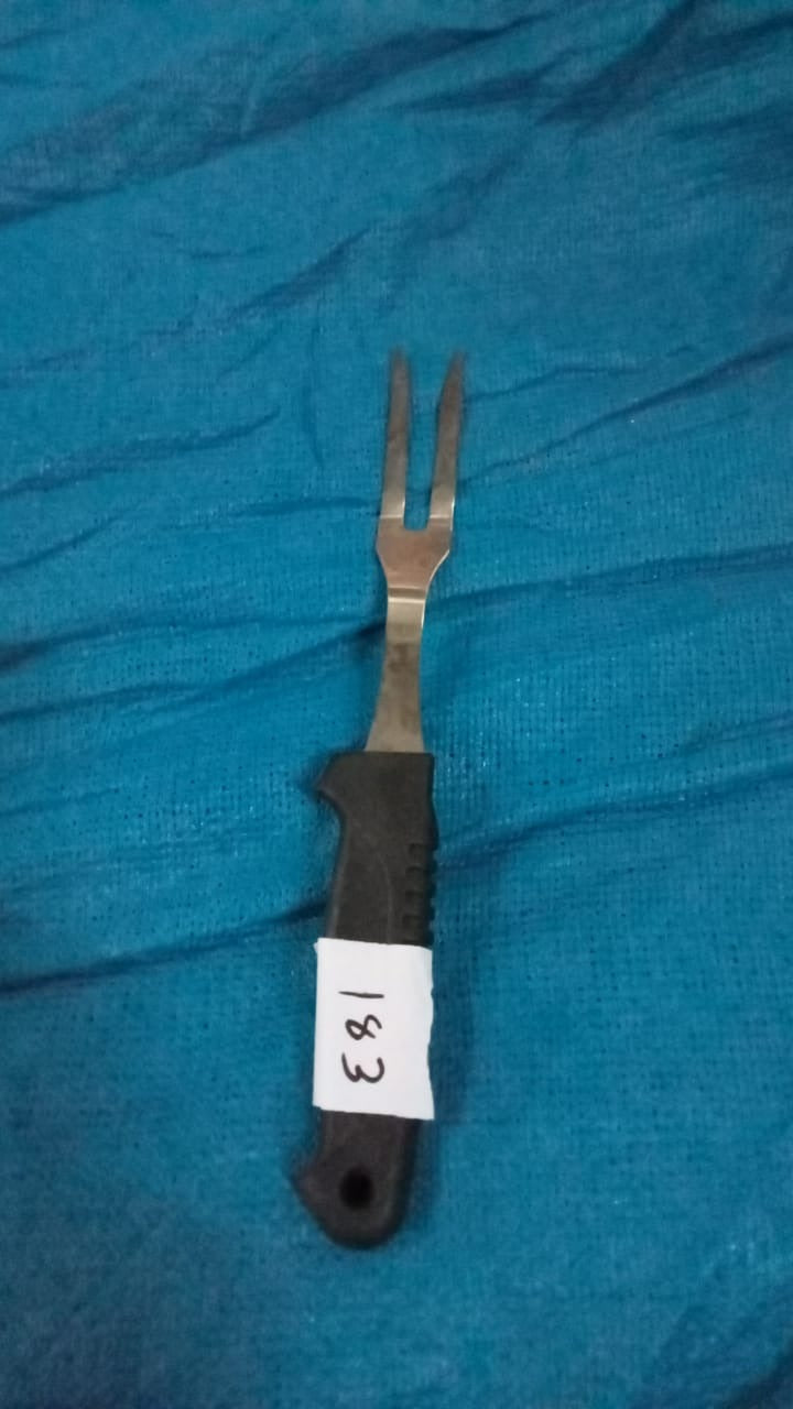 2992 stainless steel and Plastic handle fruit fork. 